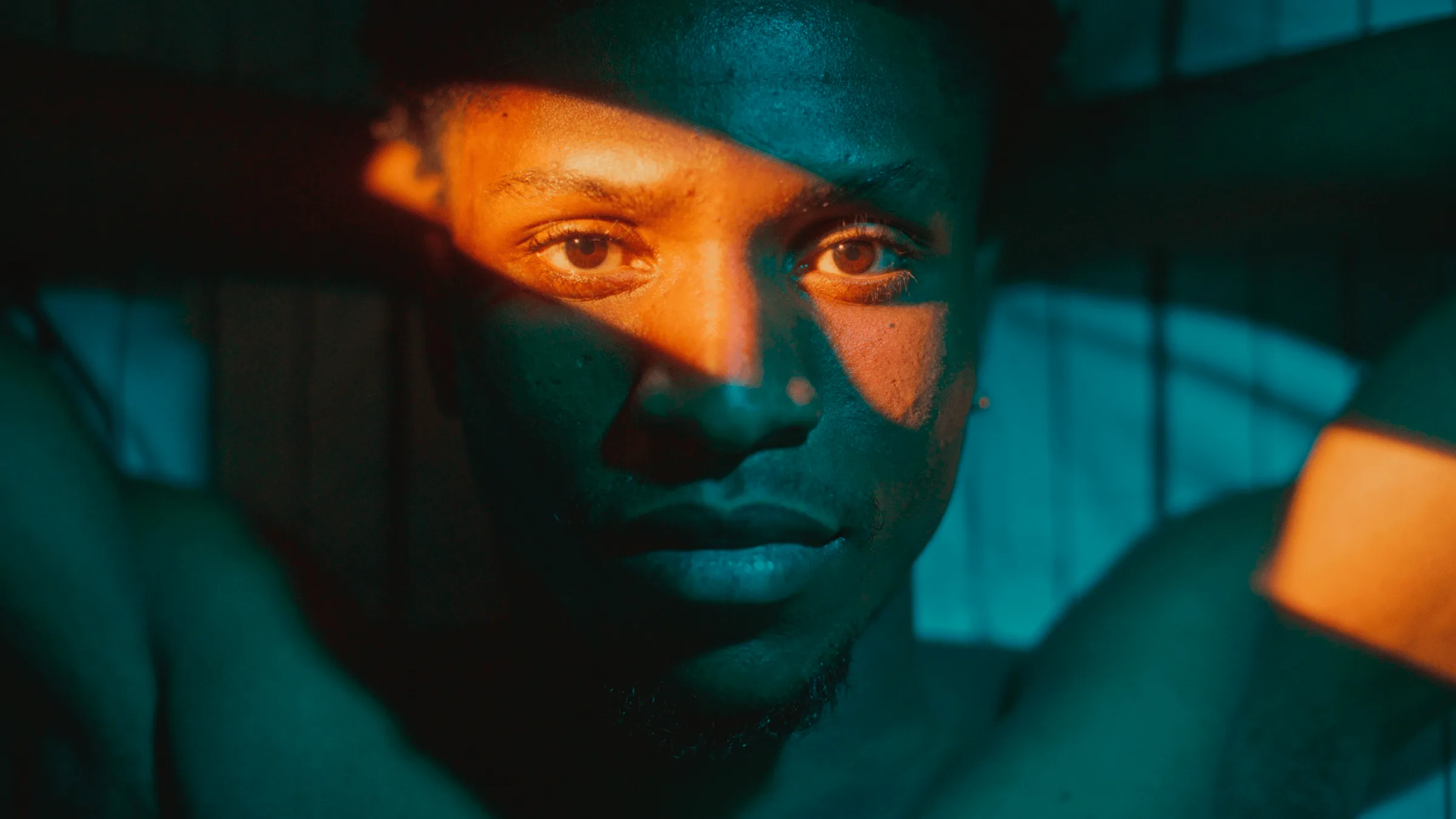 Video Proofing Sowtware